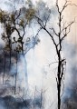 Calvert River_20070815_041